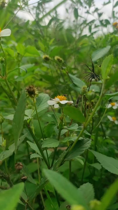 Đất thổ cư Bảo Vinh, Long Khánh 400m² giá chỉ 1.96 tỷ - Đầu tư sinh lời ngay!