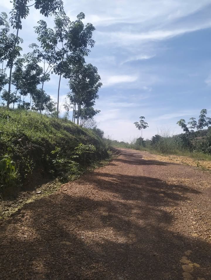 Đất nền 1ha tại Đồng Tâm, Đồng Phú - Chỉ 1 tỷ, đầu tư sinh lời!