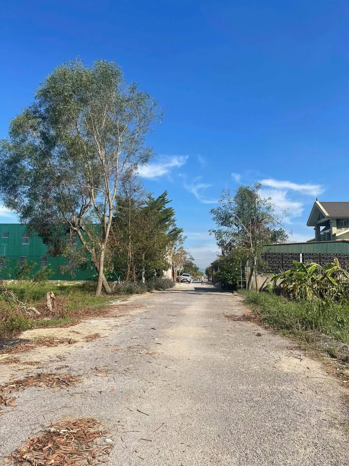 Bán đất Nghi Kim 126m² giá 2.9 tỷ - Đường rộng, vị trí đắc địa!