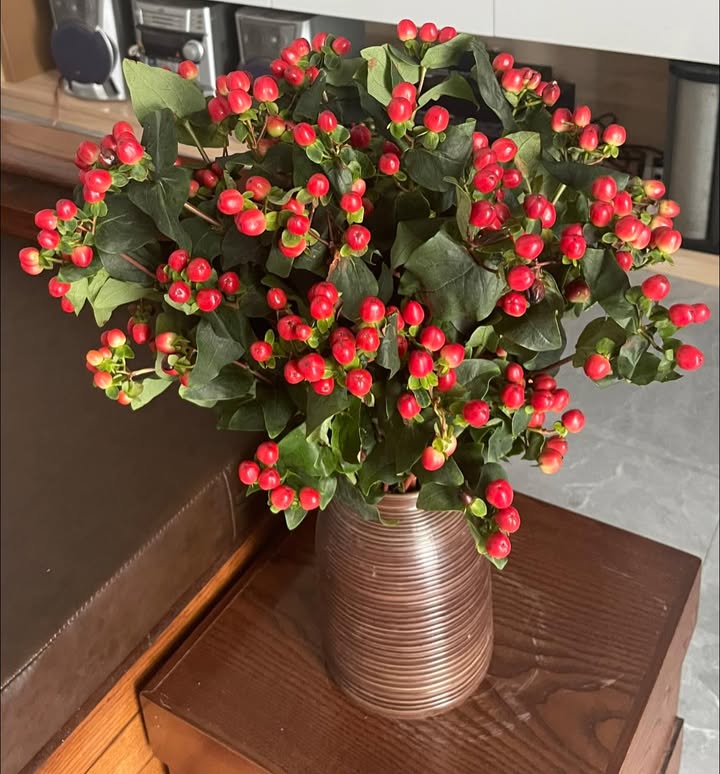 Đất nền xã Mỹ Yên, Đại Từ 280m² giá 500 triệu - Không gian xanh mát, giao thông thuận tiện!