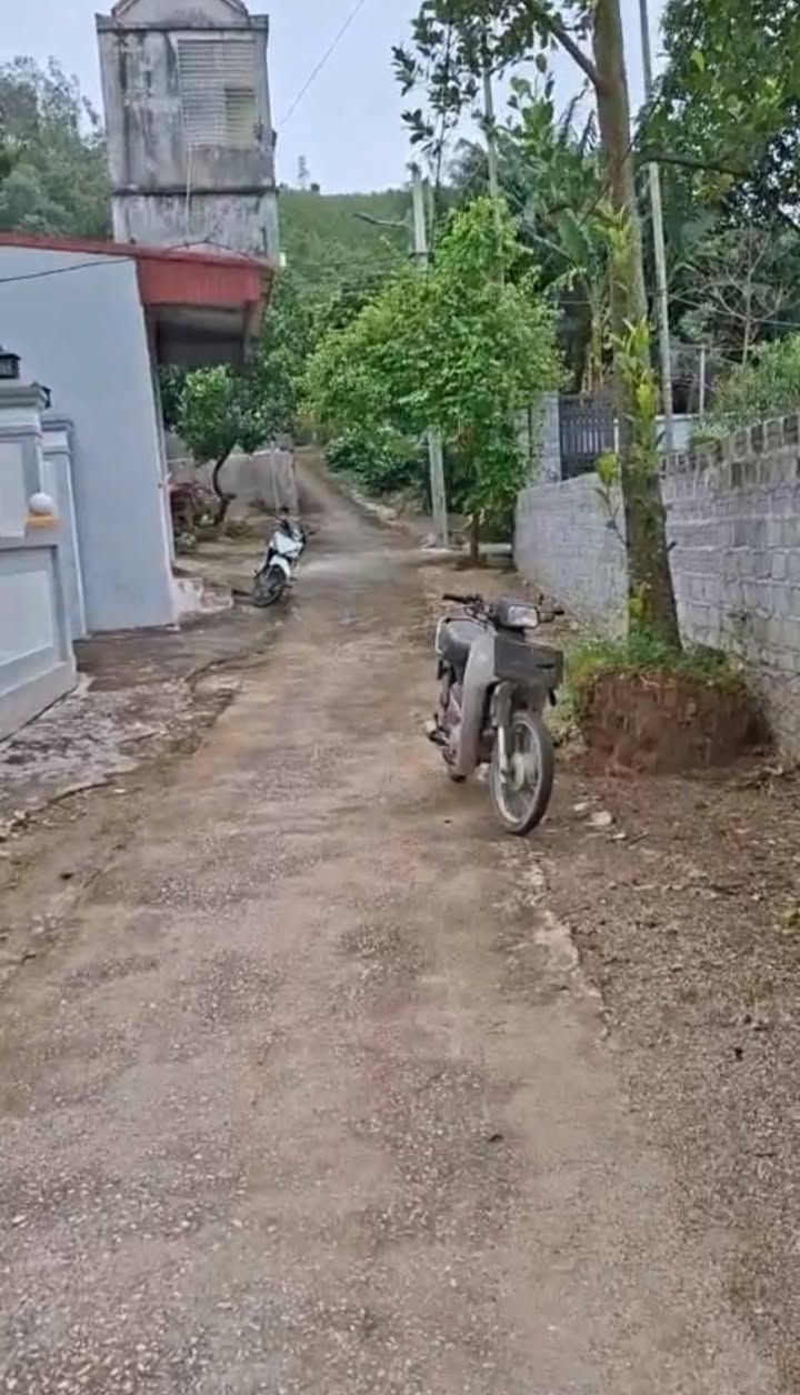 Đất nền Tân Bình, Tam Điệp 224m² giá chỉ 700 triệu - Đầu tư lý tưởng!