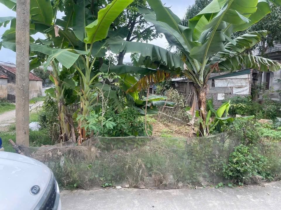 Đất nền góc 3 mặt đường tại xã Khánh Hòa, Yên Khánh 142m² - Giá 2 tỷ, đầu tư sinh lời!