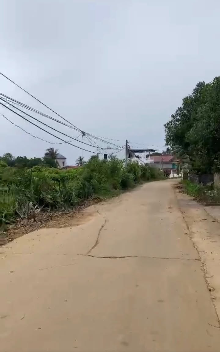 Đất nền Phú Lộc, Nho Quan 200m² giá thỏa thuận - Cơ hội đầu tư hấp dẫn!