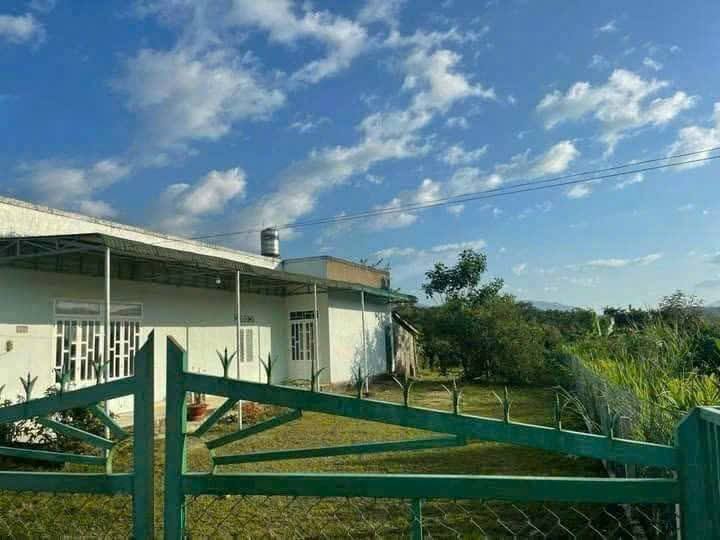 Bán nhà cấp 4 thôn 9 phường 3 Bảo Lộc 1079m² giá 2.65 tỷ - Sẵn sàng vào ở!