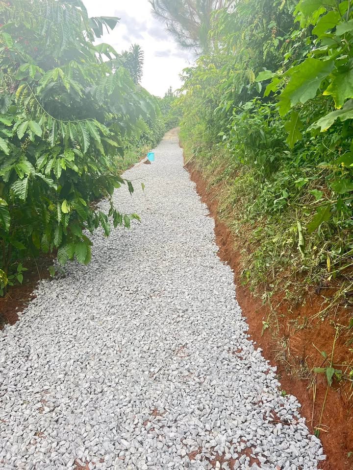 Đất nền Lộc An Bảo Lâm 800m² giá 1.1 tỷ - Cơ hội đầu tư tuyệt vời!