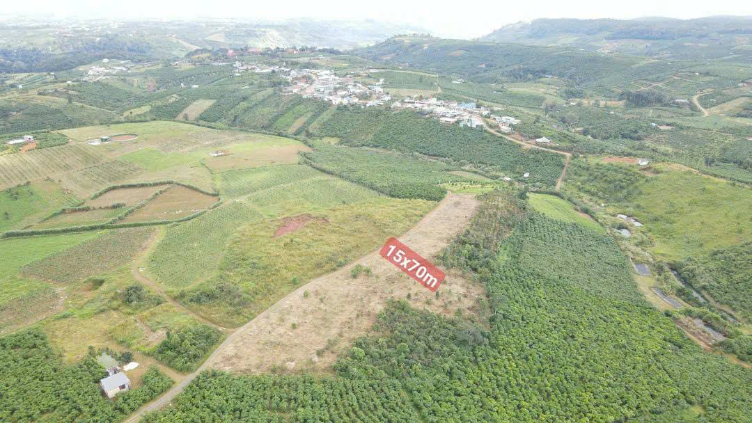 Đất thổ cư Lộc Quãng, Bảo Lâm 1000m² chỉ 450 triệu - Cơ hội đầu tư tuyệt vời!