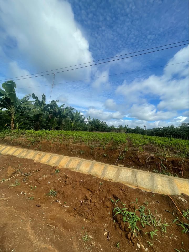 Đất mặt tiền Khánh Thượng, Lộc Đức 500m² - Giá thương lượng hấp dẫn!