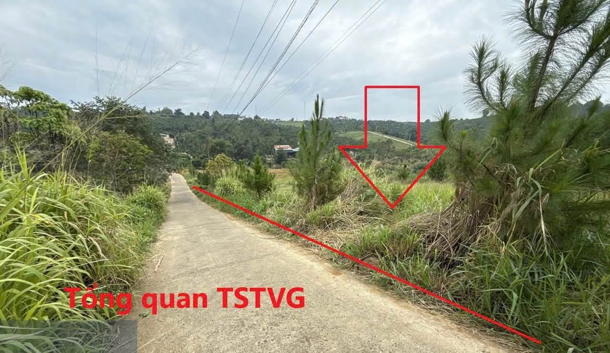 Đất thổ cư xã Lộc An, Bảo Lâm, Lâm Đồng - 945m² sổ đỏ - Cơ hội đầu tư sinh lời cao!