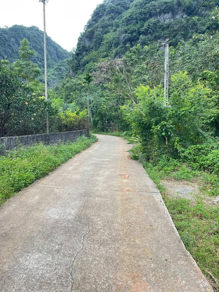 Đất thổ cư 1300m² tại Lạc Lương, Yên Thủy, Hòa Bình - Đầu tư nghỉ dưỡng lý tưởng!