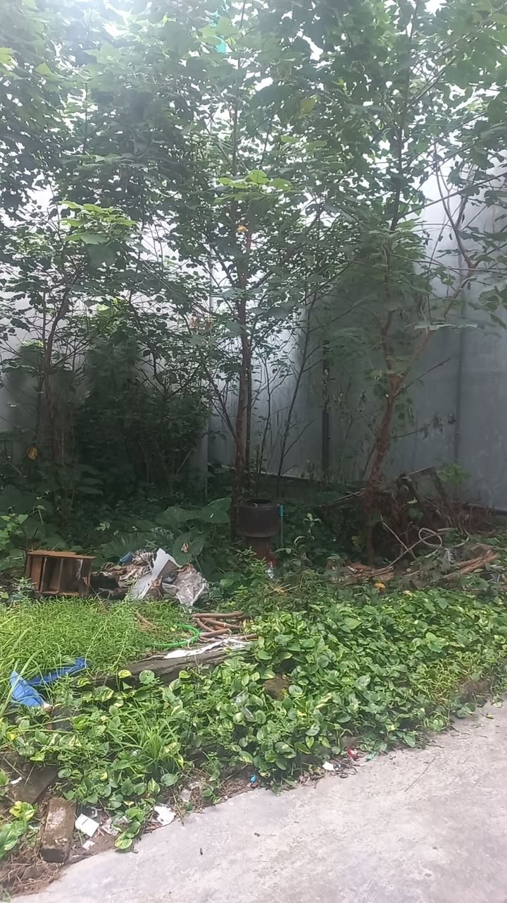 Đất Ngọc Thụy Long Biên 55m² giá 5.65 tỷ - Sổ đỏ vuông vức, giao dịch ngay!