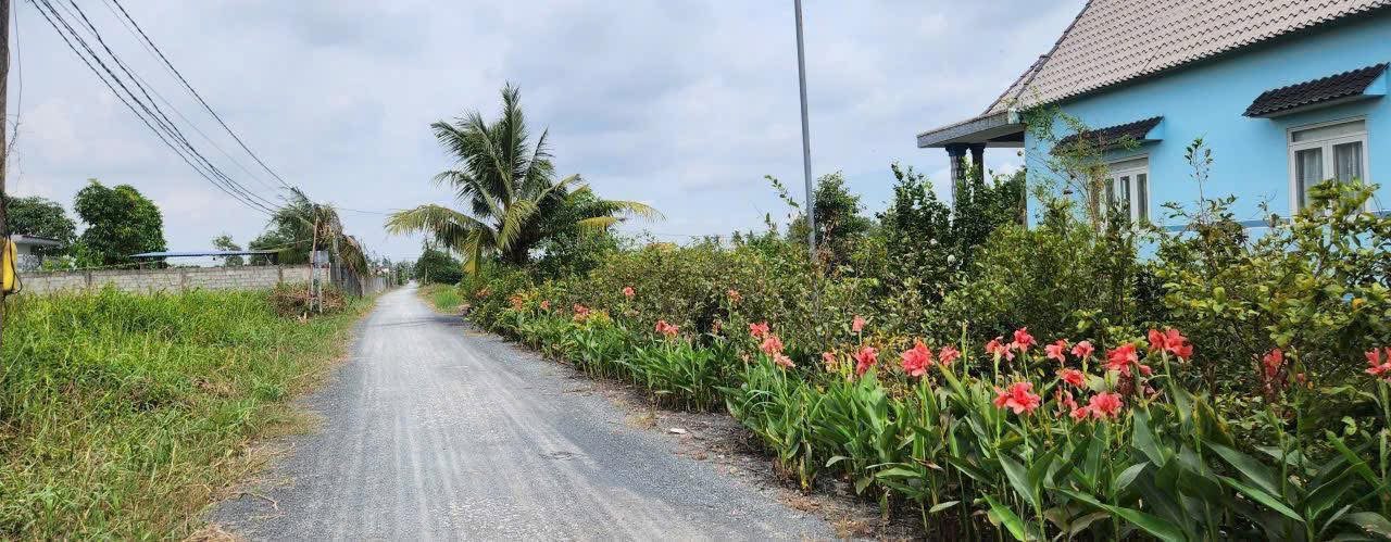 Đất nền 2600m² tại Bến Lức, Long An - Giá chỉ 2.45 tỷ - Cơ hội đầu tư hiếm có!