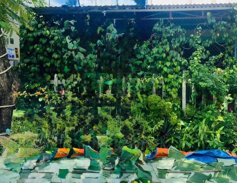 Mặt tiền Tôn Đức Thắng Hội An 124m² giá 8.5 tỷ - Đầu tư sinh lời ngay!