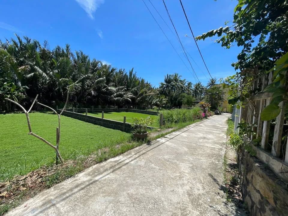 Đất Cẩm Châu Hội An 180m² giá 3 tỷ - Cơ hội đầu tư sinh lời!