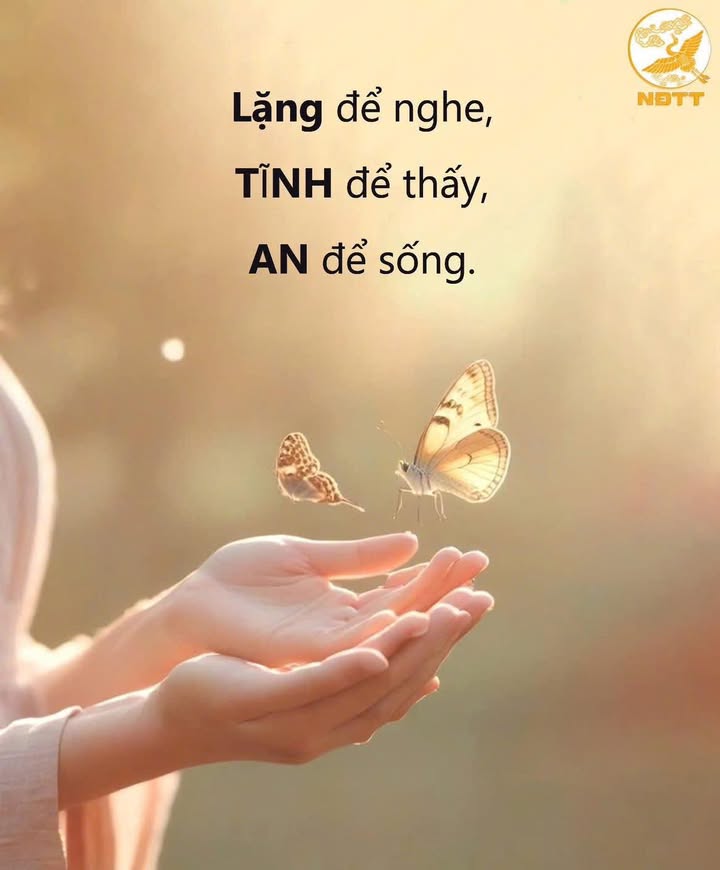 Lô đất biển Bình Hải, Thăng Bình 500m² giá 2 tỷ - Tặng kèm nhà cấp 4!