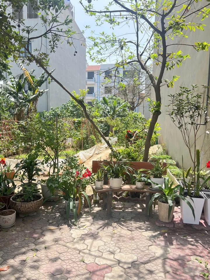 Đất nền Khu đô thị Phố Nối mới 80m² - Giá đầu tư hấp dẫn!