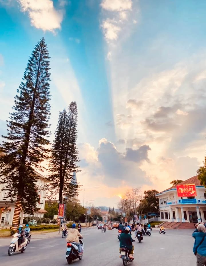 Nhà phố Trần Phú Đà Lạt 90m² giá 9 tỷ - Định cư lý tưởng!