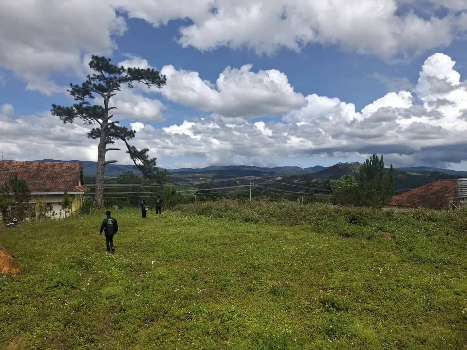 Đất Farm Lát - Lạc Dương 2100m² giá 1.6 tỷ - View săn mây tuyệt đẹp!