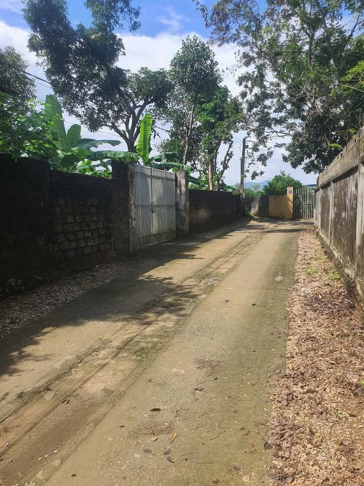 Đất thổ cư 1470m² tại Xuân Linh, Chương Mỹ - Giá chỉ 11 tỷ!