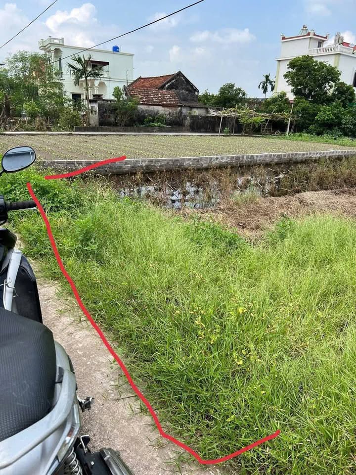Đất nền Giao Phong, Giao Thủy 265m² giá chỉ 2.4 tỷ - Đầu tư sinh lời ngay!