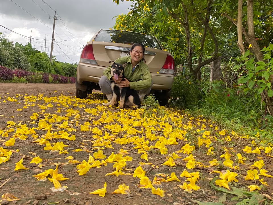 Đất nền Sơn Thành Tây 400m² giá 1 tỷ - Đầu tư sinh lời ngay!