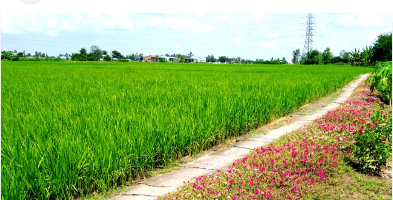 Đất nền Hòa Hiệp Đông Hòa 440m² giá 500 triệu - Đầu tư sinh lời tiềm năng!