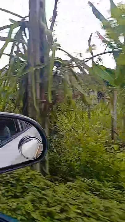 Đất nền Sơn Thành Tây, Tây Hoà, Phú Yên 855m² giá 900 triệu - Đầu tư lý tưởng!