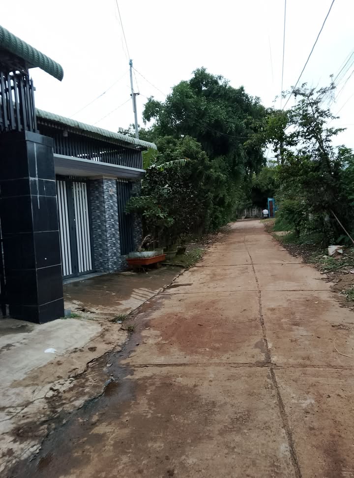 Đất thổ cư 1260m² tại Sông Hinh, Phú Yên - Cơ hội đầu tư tuyệt vời!