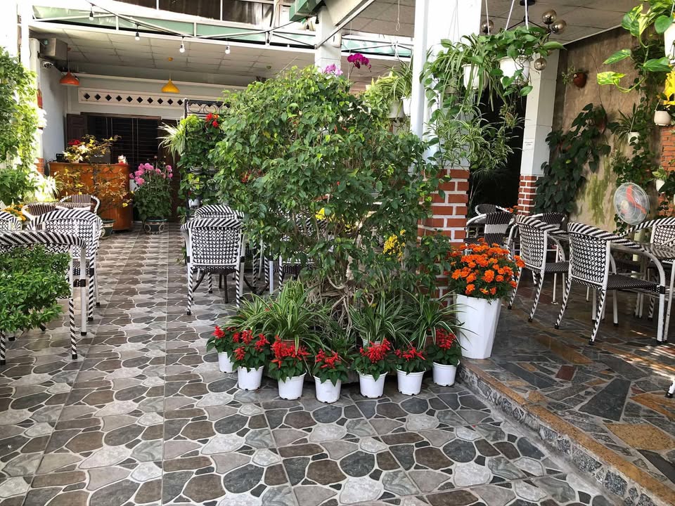 Đất ở phường 7, Tuy Hoà 226,3m² giá thỏa thuận - Cách biển chỉ 500m!