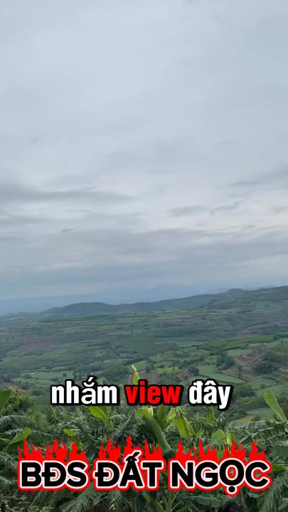 Đất thổ cư mặt tiền DT643, thôn Phú Cần, 20.000m² giá 2 tỷ - Tiềm năng đầu tư lớn!