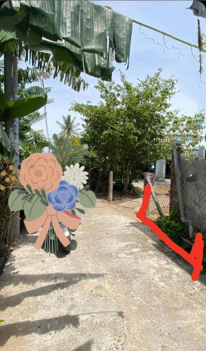 Đất nền 120m² tại Nam Bình 2, Hòa Xuân Tây - Giá chỉ 500 triệu!