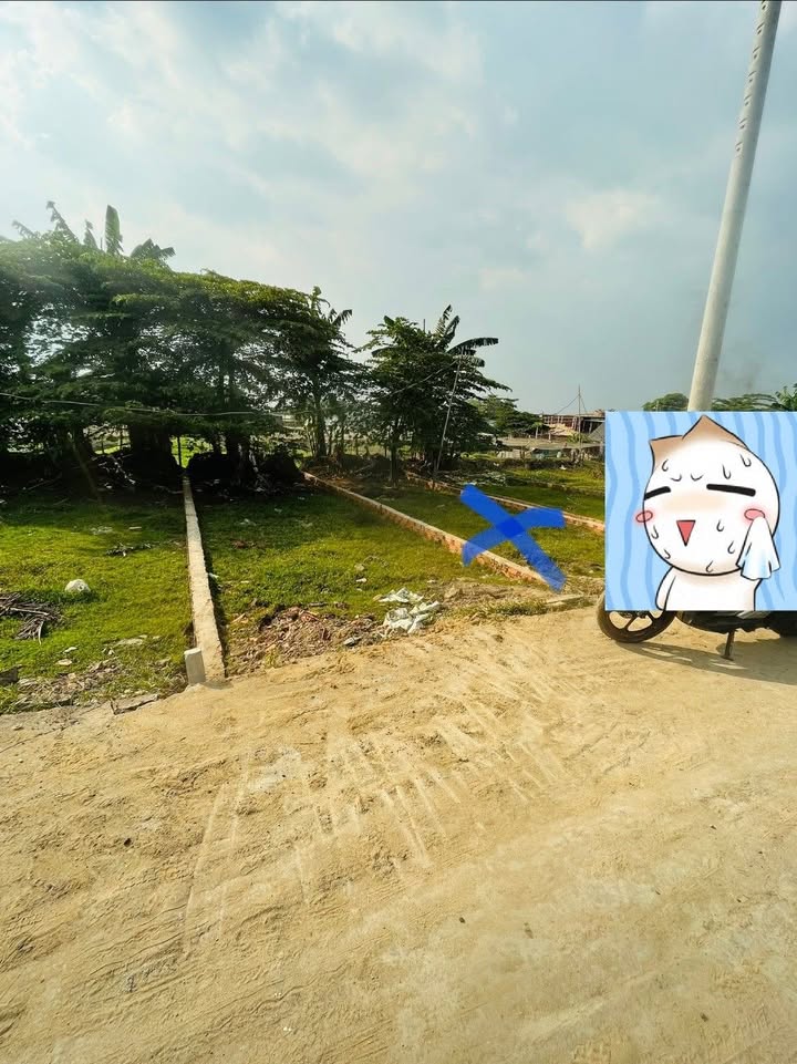 Đất nền 64m² đường VVV, Vĩnh Lộc B, Bình Chánh - Giá 800 triệu, đầu tư sinh lời!