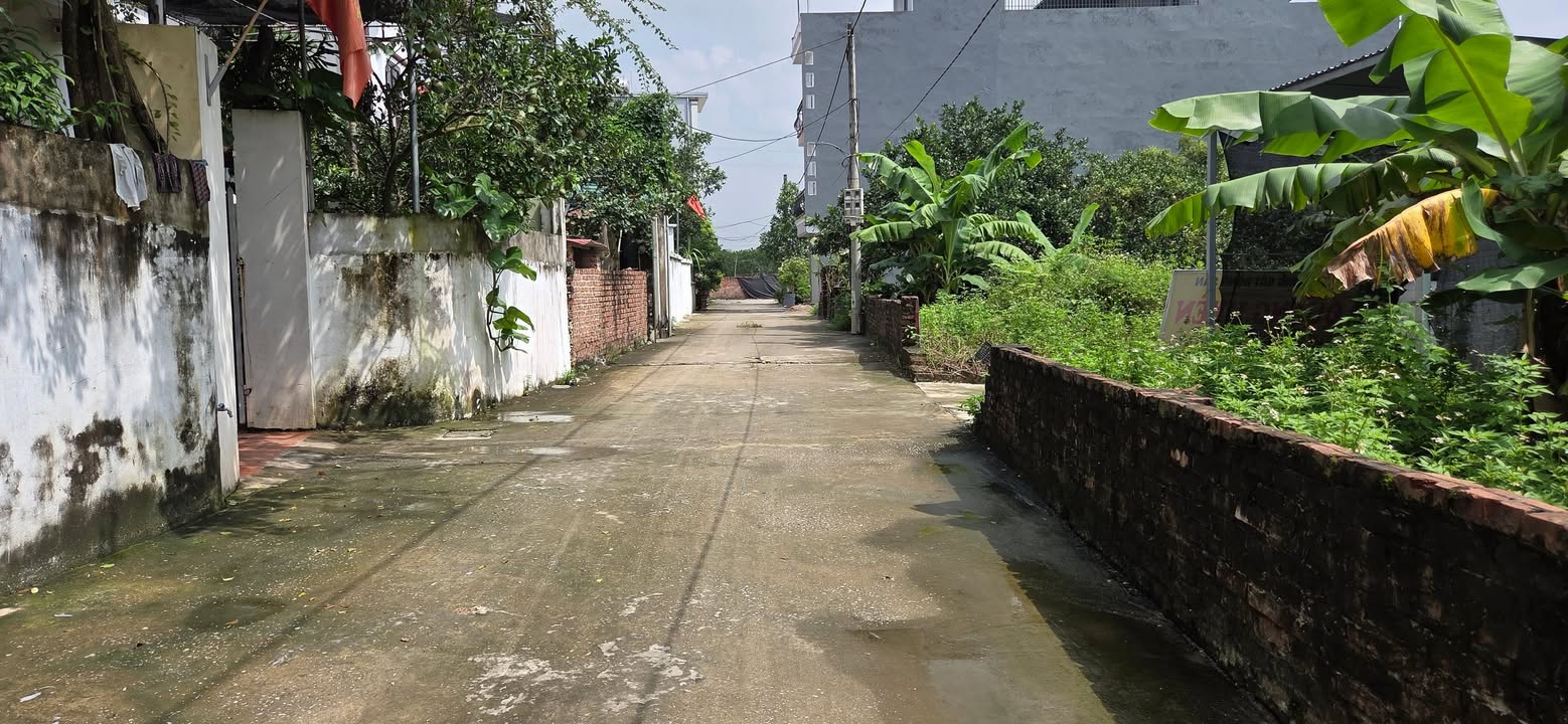 Đất thổ cư Tân Phú Quốc Oai 72.4m² giá chỉ 50 triệu/m² - Sẵn sàng đầu tư!