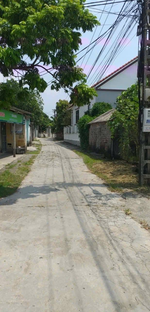 Đất góc 200m² tại Tân Quang, Ninh Giang chỉ 1.2 tỷ - Kinh doanh tốt!