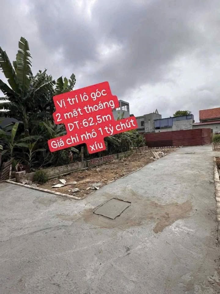 Đất nền góc 2 mặt thoáng tại Hoàng Động, 62.5m² giá 1.2 tỷ - Tiện ích đa dạng xung quanh!