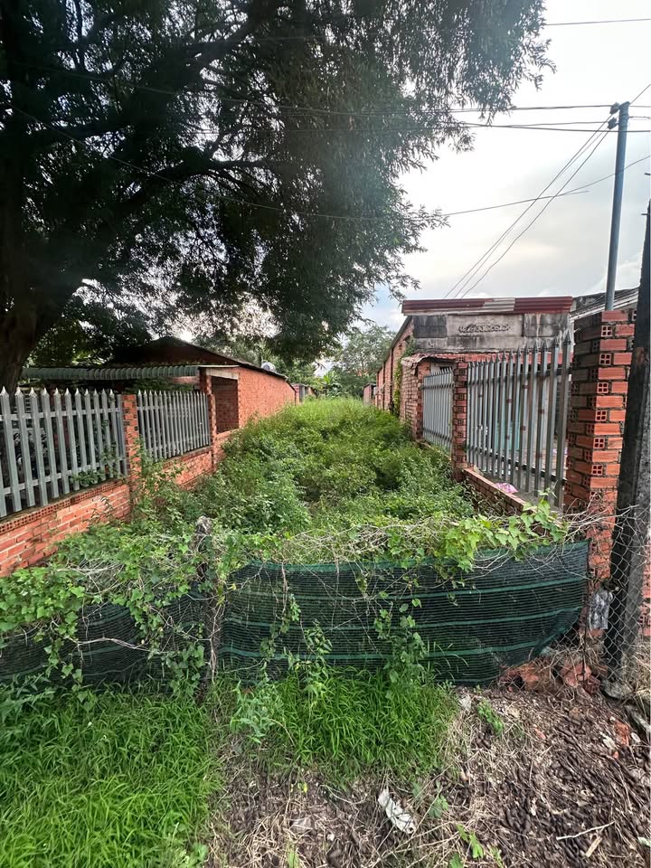 Đất chính chủ Tân Hà, Tân Châu 320m² giá 420 triệu - Đầu tư sinh lời ngay!