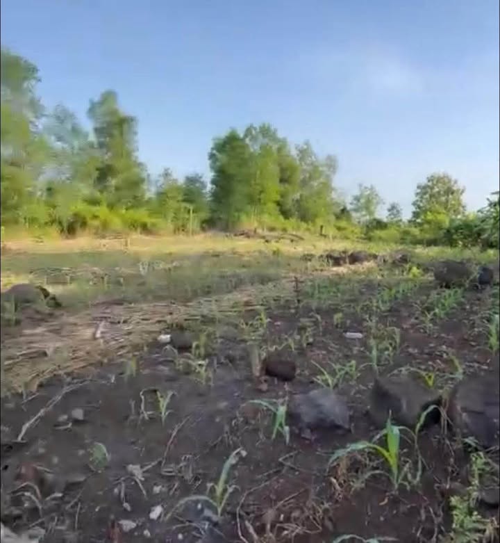 Đất Gia Canh - Định Quán 800m² giá 449 triệu - Sổ riêng chính chủ!