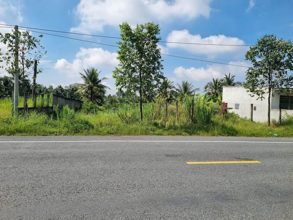 Đất mặt tiền 173 Sơn Đông 19999m² giá 3.24 tỷ - Cơ hội đầu tư tuyệt vời!