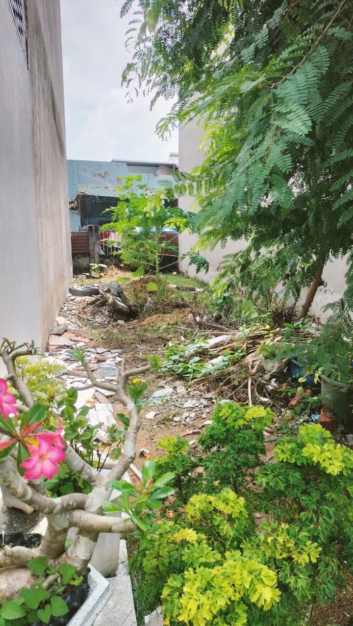 Đất thổ cư phường An Hội 72,7m² giá 1,4 tỷ - Vị trí đẹp, dân trí cao!