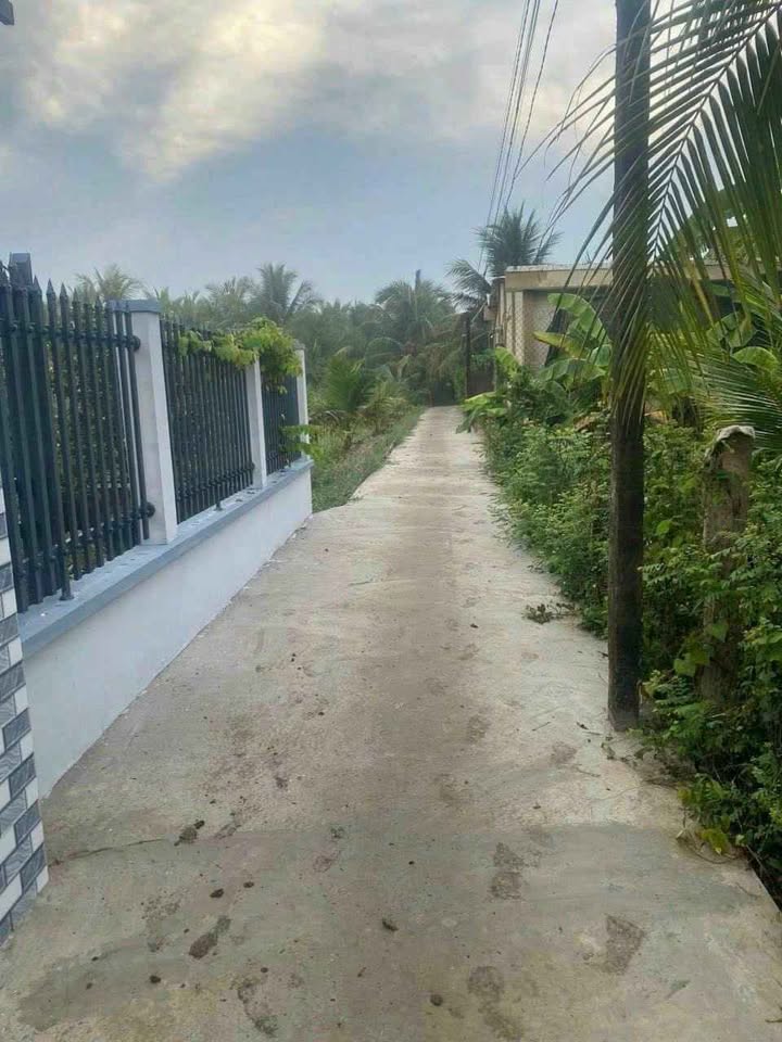 Đất nền Giồng Trôm Bến Tre 728m² giá 1.4 tỷ - Sổ đỏ chính chủ, thích hợp nghỉ dưỡng!