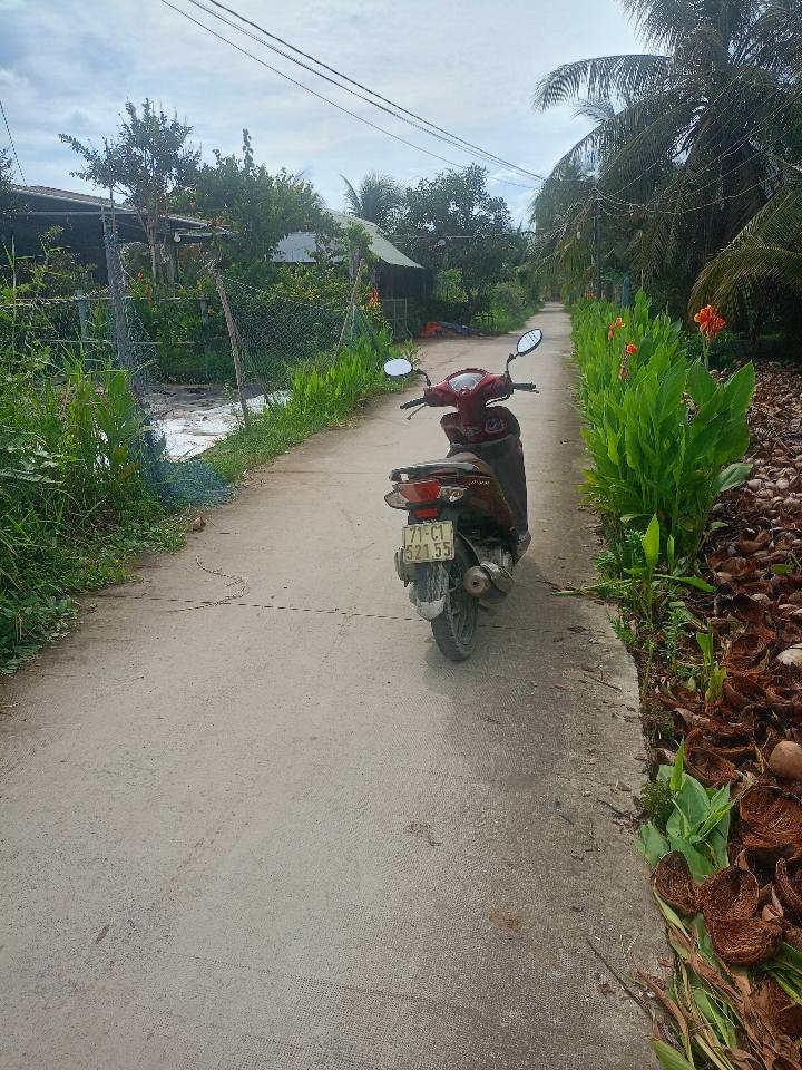 Đất nền Phú Long Bình Đại 2618m² giá chỉ 600 triệu - Đầu tư sinh lời ngay!