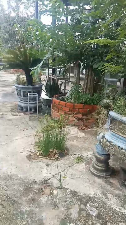 Bán Farm đẹp xã Hàm Minh 2200m² giá 1.6 tỷ - Không gian nghỉ dưỡng lý tưởng!