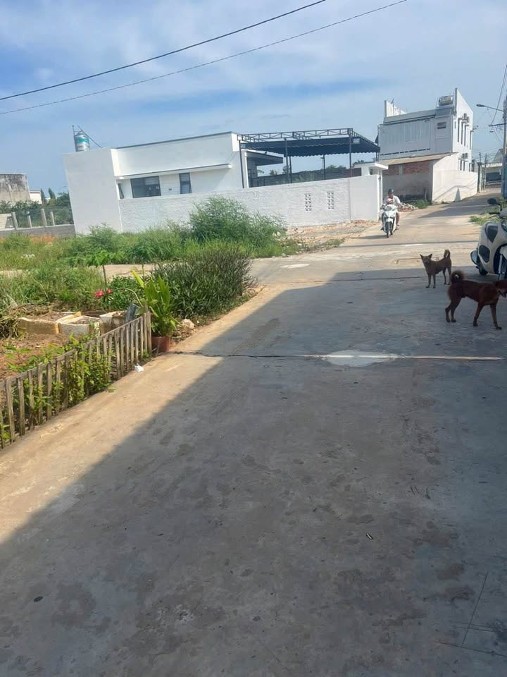 Đất nền liền kề tại phường Hàm Thắng, Bình Thuận - Diện tích 100m², giá tốt!