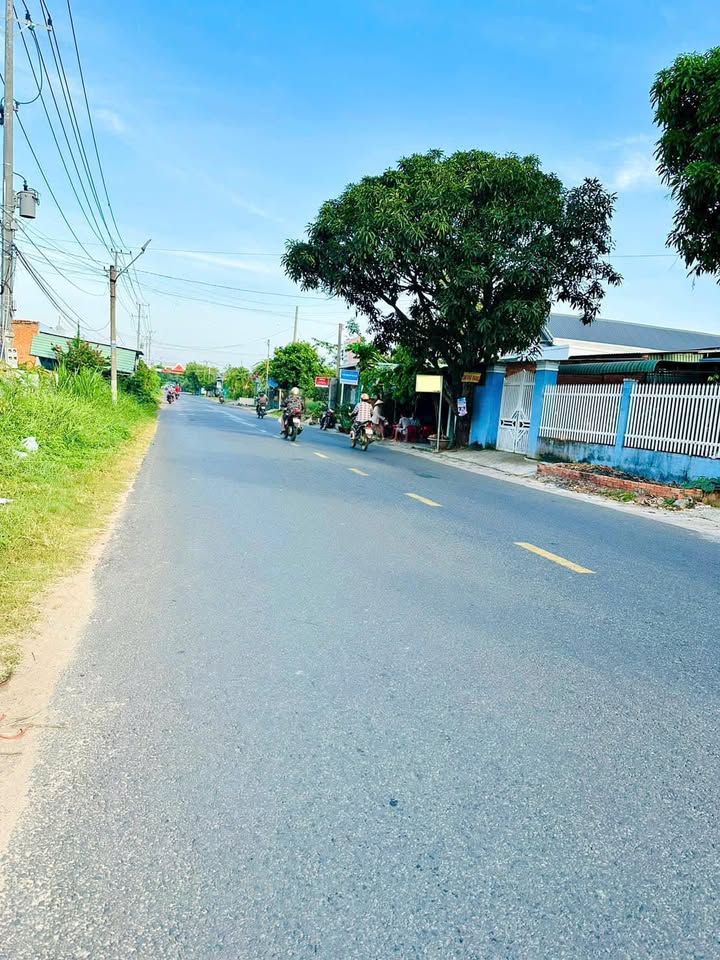 Đất thổ cư 503m² đường Hải Thượng Lãn Ông, Bình Thuận - Sổ hồng chính chủ, giá 4 tỷ