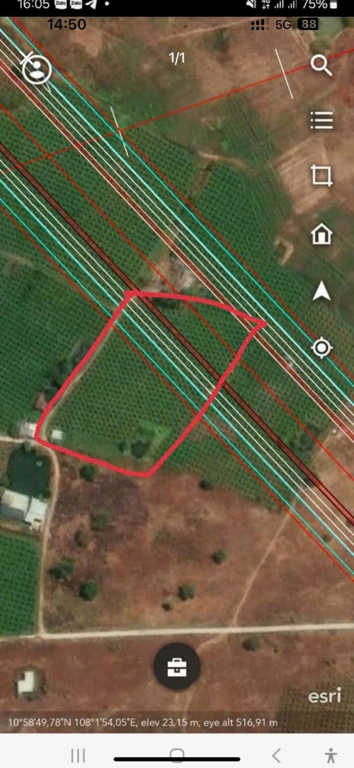 Đất cây trồng 6000m² tại Xuân Điền, Hàm Hiệp - Giá chỉ 650 triệu