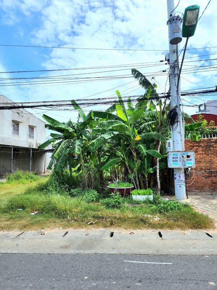 Đất thổ cư 116m² mặt tiền đường Ngô Đức Tốn - Kinh doanh thuận lợi chỉ 1.8 tỷ