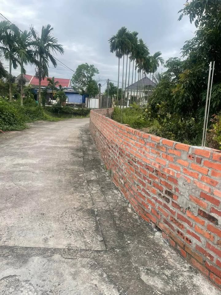 Đất nền Tân Dân An Lão 60m² giá 500 triệu - Đường ô tô vào tận nơi!