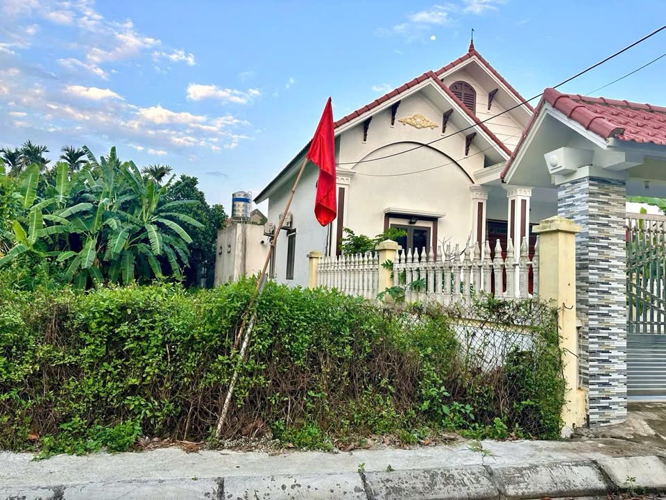 Đất mặt đường Minh Đức Quang Trung 116m² chỉ 2 tỷ - Cơ hội đầu tư tuyệt vời!