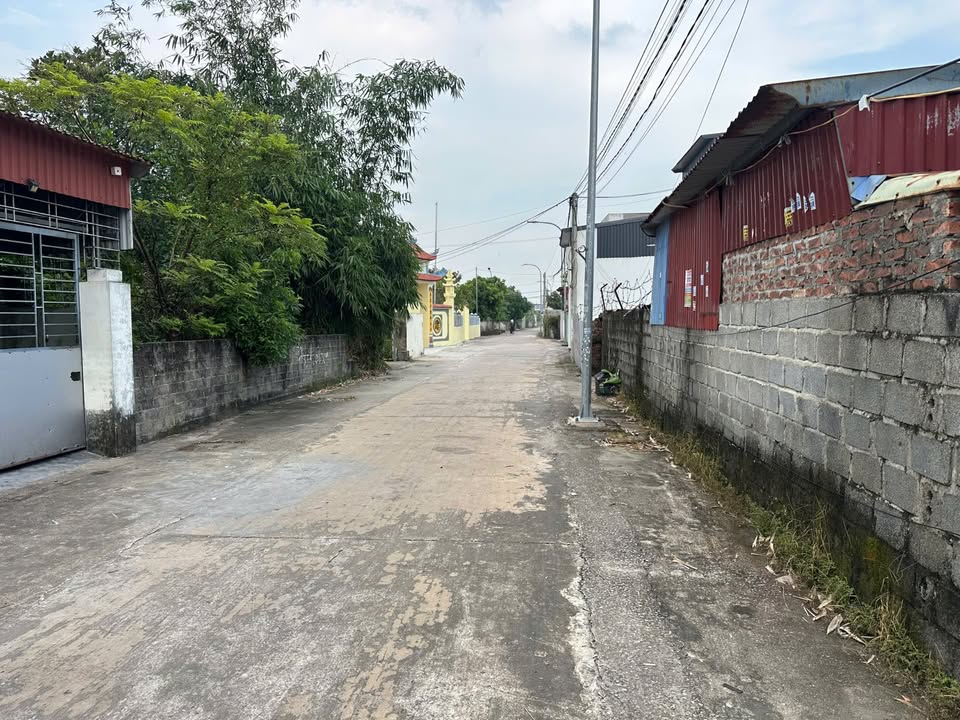 Bán đất 65m² tại Đức Phong, Kiến Thụy - Giá chỉ 1.7 tỷ, cơ hội vàng cho nhà đầu tư!