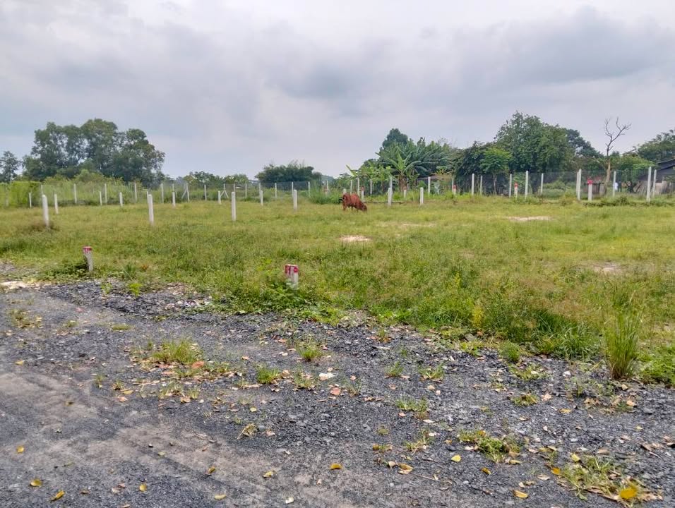 Đất nền Phước Vĩnh An, Củ Chi 125m² giá 1.8 tỷ - Sổ hồng chính chủ!