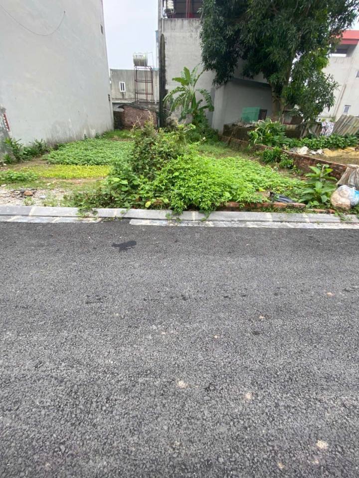 Căn hộ chung cư Vân Nội Đông Anh 83m² giá 6 tỷ - Sổ hồng chính chủ, ô tô vào tận nơi!